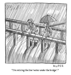 Water Under the Bridge by Peter Kuper