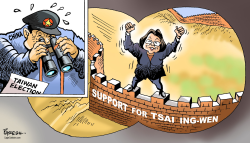 TAIWAN ELECTION by Paresh Nath