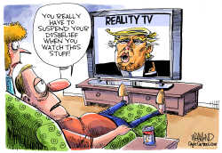 THE REALITY SHOW PRESIDENT by Dave Whamond