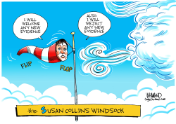THE SUSAN COLLINS WINDSOCK by Dave Whamond