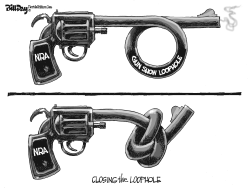 GUN SHOW LOOPHOLE by Bill Day
