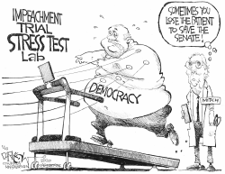 DEMOCRACY STRESS TEST by John Darkow