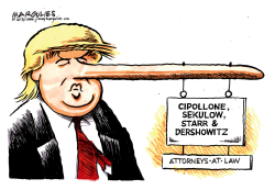 TRUMP DEFENSE TEAM by Jimmy Margulies
