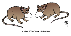 YEAR OF THE RAT by Arend van Dam