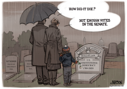 RIP US CONSTITUTIONAL DEMOCRACY by R.J. Matson