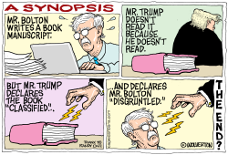 SYNOPSIS OF BOLTON BOOK by Monte Wolverton