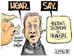 LOCAL NC BURR AND BOLTON TESTIMONY by John Cole