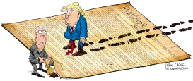 TRUMP MCCONNELL AND THE CONSTITUTION by Daryl Cagle
