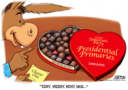 TOO MANY DEMOCRATIC PRIMARY CHOICES by R.J. Matson