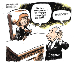 ROGER STONE SENTENCING by Jimmy Margulies