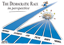 THE DEMOCRATIC RACE IN PERSPECTIVE by R.J. Matson