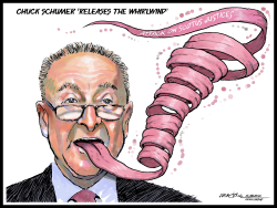 SCHUMER RELEASES WHIRLWIND by J.D. Crowe
