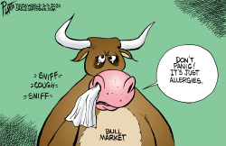 THE BULL MARKET by Bruce Plante