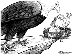 HALF-HATCHED DEMOCRACIES IN THE MIDDLE EAST by R.J. Matson