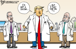 DR. TRUMP by Bruce Plante
