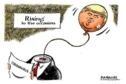 RISING TO THE OCCASION by Jimmy Margulies