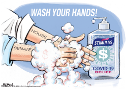 WASH YOUR HANDS CONGRESS by R.J. Matson