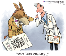 DEMOCRATS TOUCH FACE by Rick McKee