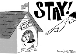STAY HOME by Frank Hansen