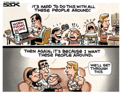 WORK AT HOME by Steve Sack
