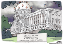 STAY AT HOME CONGRESS by R.J. Matson