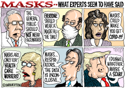 EXPERTS ON FACE MASKS by Monte Wolverton
