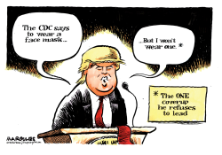 TRUMP AND FACE MASKS by Jimmy Margulies