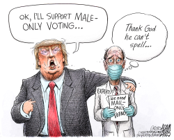 SAFER ELECTIONS by Adam Zyglis