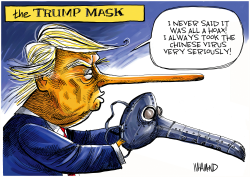 THE TRUMP MASK by Dave Whamond