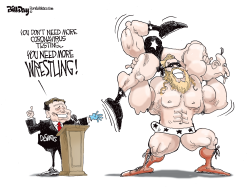 MORE WRESTLING by Bill Day
