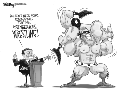 MORE WRESTLING FLORIDA by Bill Day