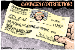 CAMPAIGN CONTRIBUTION by Monte Wolverton