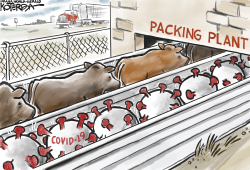 HEADING INTO THE PACKING HOUSE by Jeff Koterba