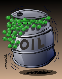 POPCORN IN OIL. by Arcadio Esquivel