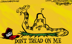 DON'T TREAD ON MAGA by Milt Priggee