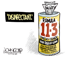 DEMOCRATIC DISINFECTANT by John Cole