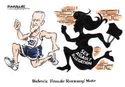 SEXUAL ASSAULT AND BIDEN by Jimmy Margulies