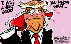  TRUMP'S YOU KNOW WHAT by Milt Priggee