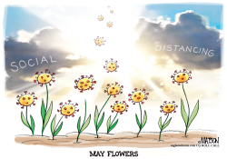 MAY FLOWERS by R.J. Matson