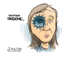 LOCAL NC - PANDEMIC DOMESTIC ABUSE by John Cole