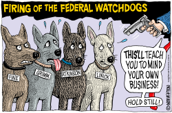FIRING THE FEDERAL WATCHDOGS by Monte Wolverton