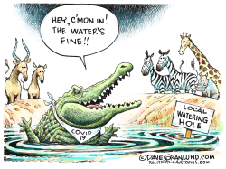 WATERING HOLES AND COVID19 by Dave Granlund