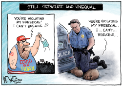 SEPARATE & UNEQUAL by Christopher Weyant