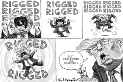 Rigged Election by Ed Wexler