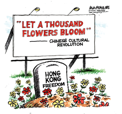 HONG KONG FREEDOM by Jimmy Margulies