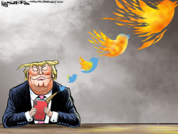 DIVIDER IN CHIEF by Kevin Siers