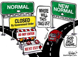 NEW NORMAL by Steve Nease