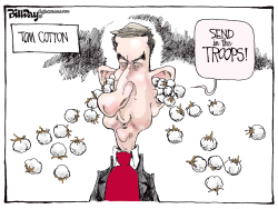 TOM COTTON by Bill Day