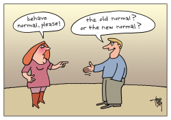 THE NEW NORMAL by Arend van Dam