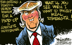 TRUMP STRENGTH by Milt Priggee